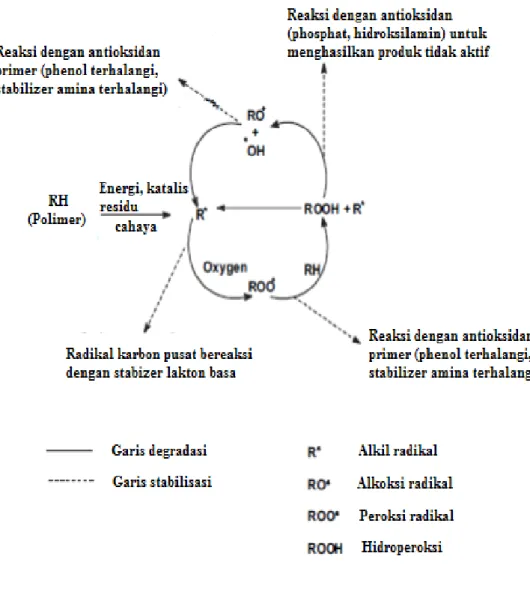 Gambar 2.12 Jalur degradasi dan stabilisasi polimer  (Pandey, 2005) 