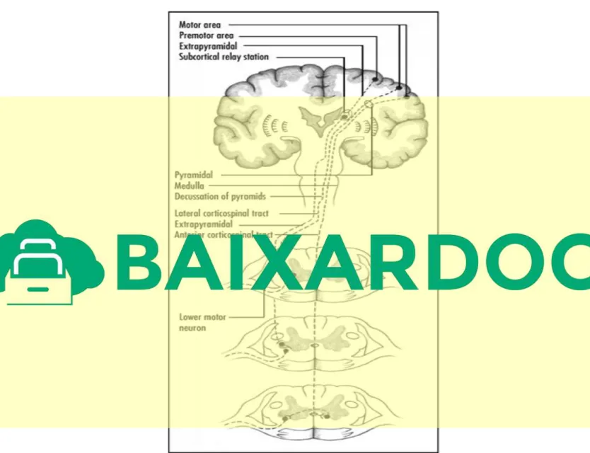 Gambar 3. Jaras pyramidal dan ekstrapiramidal  11