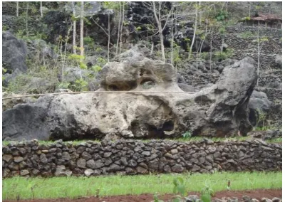 Gambar.3  a Kenampakan singkapan breksi andesit, b lava dengan struktur columnar joint di Desa Sejati