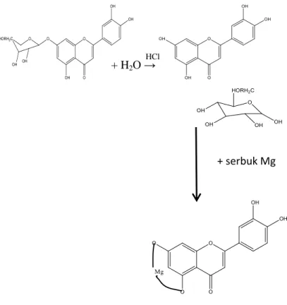 Gambar 4.5 Reaksi pembentukan garam flavilium pada  uji flavonoid (Agustina, W., 2014) 