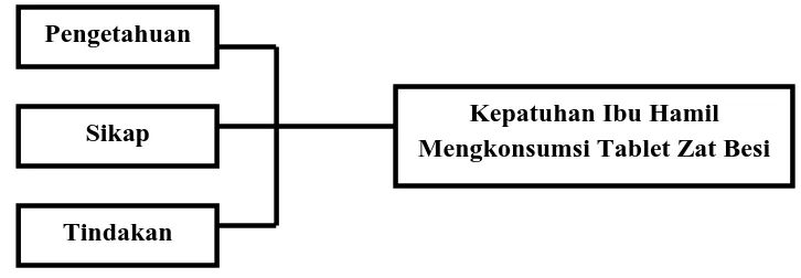 Gambar 3.1. Kerangka Konsep Penelitian 