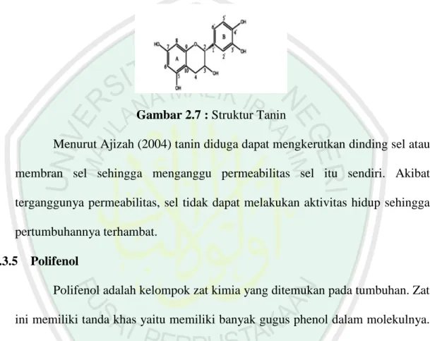 Gambar 2.7 : Struktur Tanin 