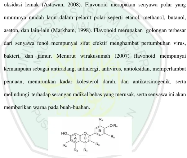 Gambar 2.5 :  Struktur flavonoid (Markham, 1998) 