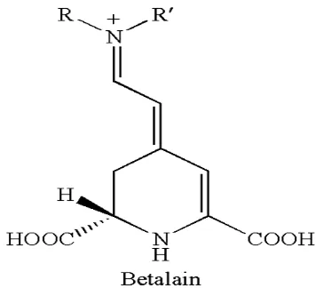 Gambar 1. Struktur kimia betalain (Parkin dan Wettasinghe, 2003) 