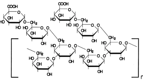 Gambar 2. Struktur kimia gum arab(Aspinal, 1970) 