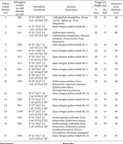 Tabel 1. Data pohon induk yang digunakan dalam penelitianTable 1. Data of mother trees included in the research
