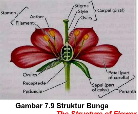 Gambar 7.9 Struktur Bunga The Structure of Flower
