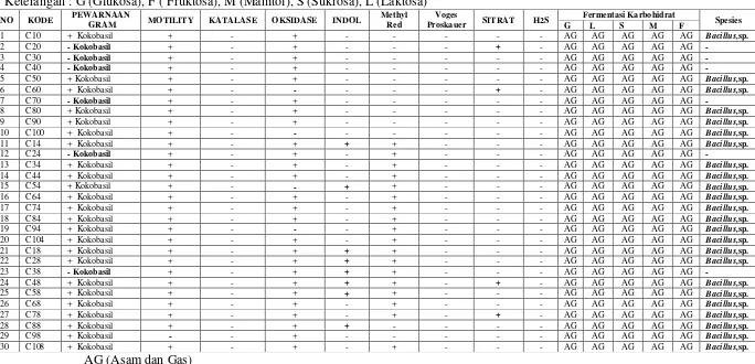 Tabel 5. Hasil Uji Identifikasi Sampel Kultur Bakteri Sampel Cabai Penyimpanan 0-8 Keterangan : G (Glukosa), F ( Fruktosa), M (Manitol), S (Sukrosa), L (Laktosa) 