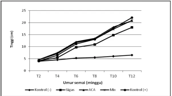 Gambar 2. Kurva pertumbuhan tinggi semai A. auriculiformis sampaiumur 12 minggu akibat inokulasi FMA.Figure 2