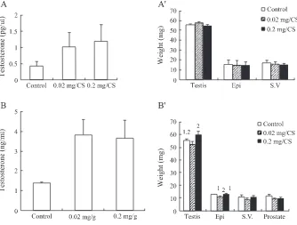 Fig. 1. The effect of CS on plasma testosterone levels and the weight of reproductive organs in immature mice