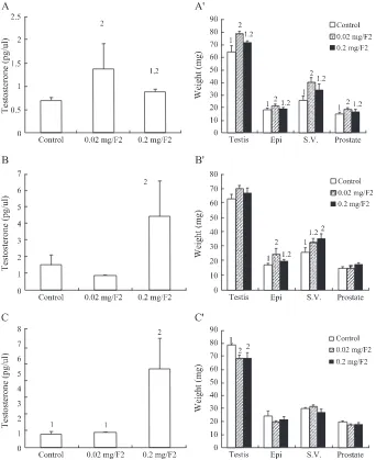 Fig. 2. The effect of F2 on plasma testosterone levels and the weight of reproductive organs in immature mice
