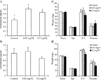 Fig. 5. The effect of F2 on plasma testosterone levels and the weight of reproductive organs in mature mice