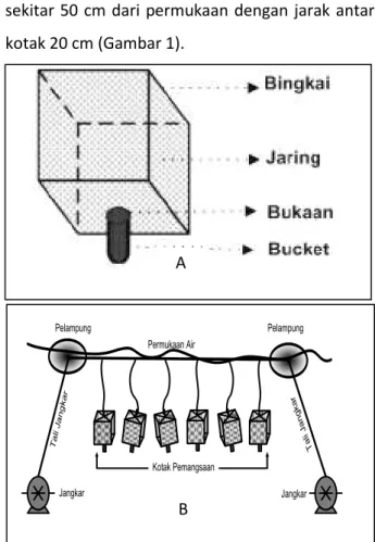 Gambar  1.  Sketsa  Desain  Alat/Kotak  (A)  dan  Pemasangan  Kotak  Pemangsaan  di  Laut (B) Pelampung PelampungPermukaan AirJangkar JangkarTali Jangkar a Tli JnakgraKotak PemangsaanA B A
