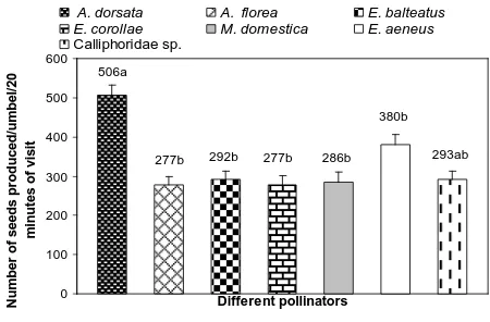 Fig. 4. Number of seeds produced per umbel per 20 minute of visit by different 