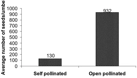 Fig. 5. Average number of seeds produced in open-pollinated and self-pollinated umbels