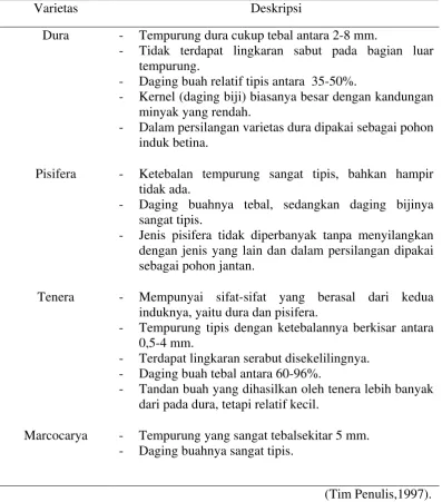 Tabel 2.1.Varietas Kelapa Sawit Berdasarkan Ketebalan Tempurung dan Daging Buah 