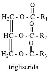 Gambar 2.1 Senyawa Trigliserida 