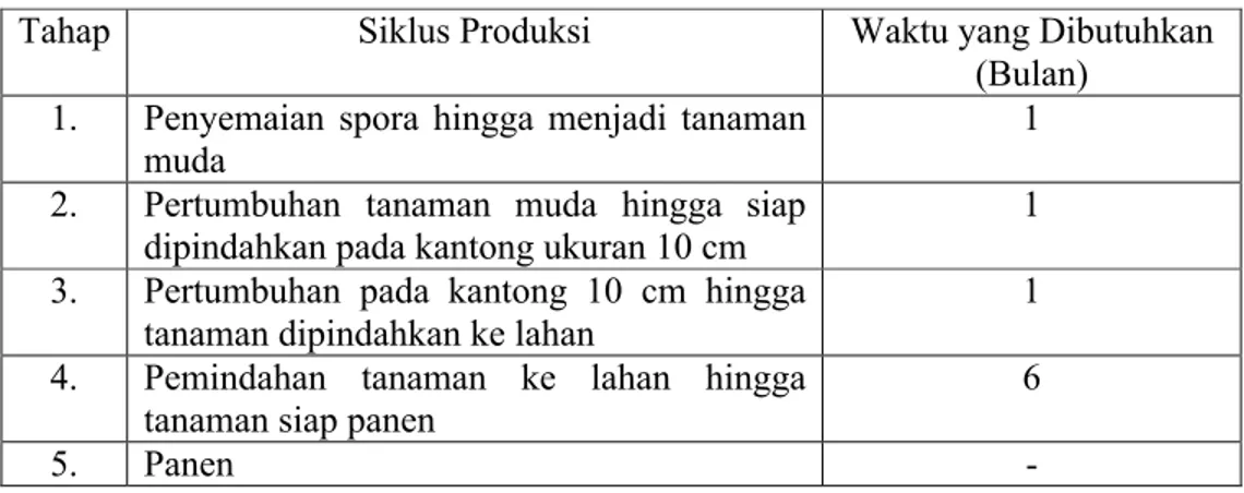 Tabel 19. Tahapan Siklus Produksi Tanaman Pakis Kadaka (Bulan)