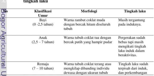 Tabel A 1. A Klasifikasi  umur  orangutan  Kalimantan  (Pongo  pygmaeus 