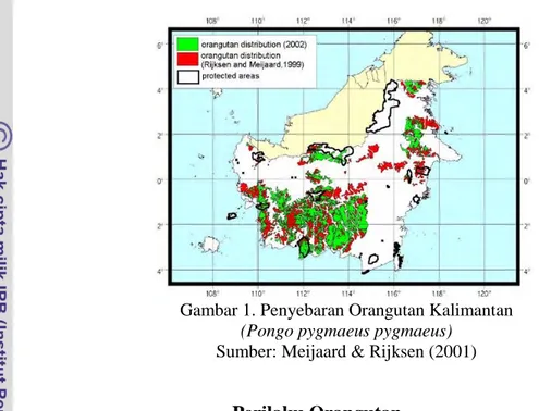 Gambar 1. Penyebaran Orangutan Kalimantan  (Pongo pygmaeus pygmaeus) 