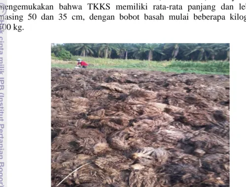 Gambar 1  Limbah tandan kosong kelapa sawit dalam pengolahan minyak kelapa sawit   (Ghaida 2012) 