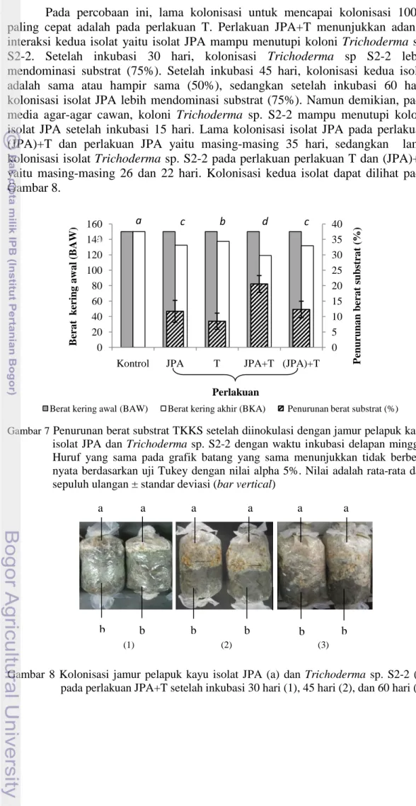 Gambar 7  Penurunan berat substrat TKKS setelah diinokulasi dengan jamur pelapuk kayu  isolat JPA dan Trichoderma  sp