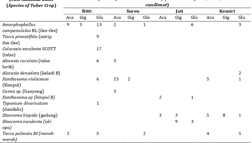 Table 3. Diversity of AMF Species and Spore Density at Tuber Crop Rhizosfer under community forest stand of bitti, suren, teak and candlenut Jenis dan kepadatan spora AMF di rhizosfer tanaman umbi yang tumbuh di bawah 