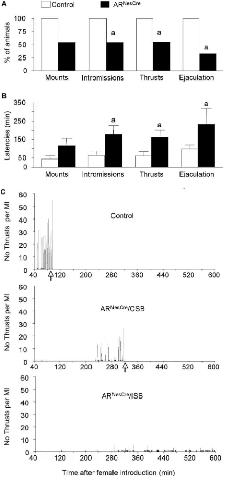 Figure 4.Male sexual behavior of control and ARPercentage of males showing mounts, mounts with intromissions, thrusts with intromissions,andejaculation.ejaculation for mice that displayed complete sexual behavior ( NesCre mice measured in a 10 h test