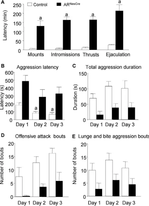 Figure 9.Male sexual and aggressive behaviors of gonadectomized and T-treated mice.act in the 10 min resident–intruder paradigm with a significant effect of genotype (ARinmutantmice(ARLatency to the first mount, mount with intromission, thrust, and ejacula