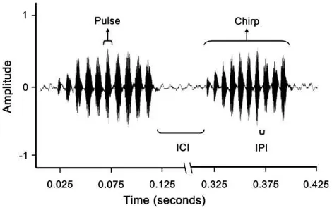 Figure 1Male calling song oscillogram. Calling song incharacterized by a series of chirps, which are comprised of numerouspulses