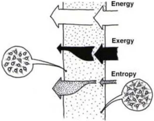 Gambar 2  Aliran masuk dan keluar dari energi, eksergi dan entropi pada sistem. Energi yang masuk dan keluar pada kondisi steadi adalah sama