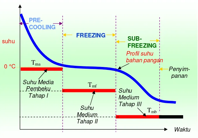 Gambar 11  Profil Penurunan Suhu Bahan dan Suhu Media Pembeku Pada Model Sistem Pembekuan Suhu Bertahap