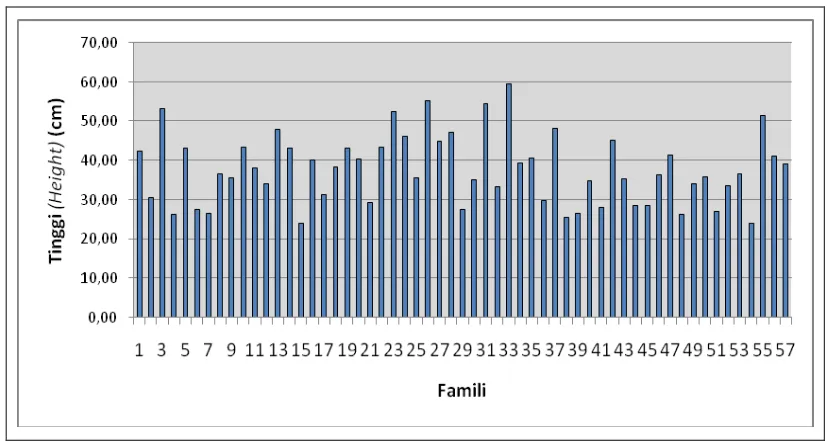 Gambar 1. Grafik rerata tinggi tanaman cendana umur 6 bulan setelah tanam.  Figure 1. The average of cendana stem height at 6 months after planting