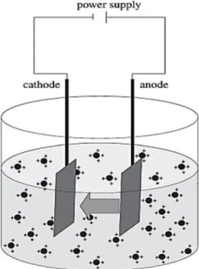 Gambar 1. Skema proses electrophoretic deposition [17] 