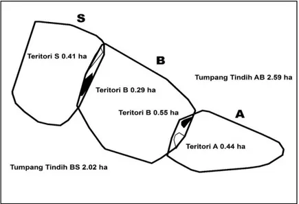 Gambar 4  Areal tumpang tindih dan daerah teritori kelompok A, B dan S   Pertemuan  (encounter)  antar  kelompok  Owa  Jawa 