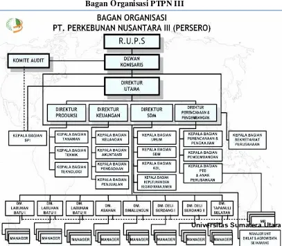 Tabel 4. Bagan Organisasi PTPN III 