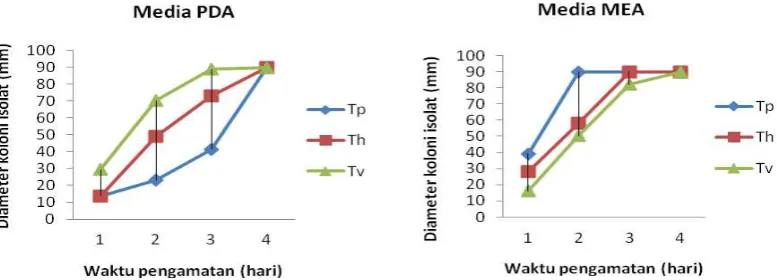 Gambar 4. Rata-rata pertumbuhan Diameter koloni isolat dan MEA. Figure 4.Trichoderma spp