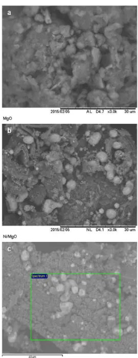 Gambar 3. Isoterm adsorpsi N2 katalis Ni/MgO dan MgO 