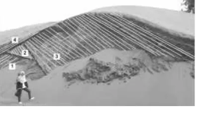 Gambar 2. Proses deposisi dan migrasi dari sedimenyang membentuk gumuk pasir(Ahlbrandt &Fryberger,1998).