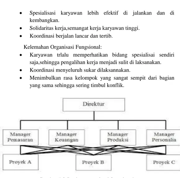 Gambar 5.3 Struktur organisasi fungsional 