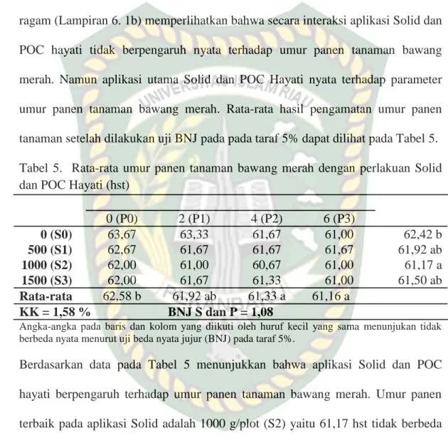 Tabel  5.    Rata-rata  umur  panen  tanaman  bawang  merah  dengan  perlakuan  Solid   dan POC Hayati (hst) 
