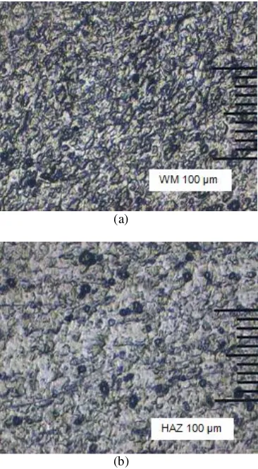 Gambar 9: Struktur mikro weld metal dan HAZ