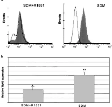 Figure 4Tip60 protein is upregulated in androgen-depletedconditions. Western analysis showing the difference in Tip60protein levels between cells grown either in the absence (SDM –lane 1) or presence (SDM+R1881 – lane 2) of androgens