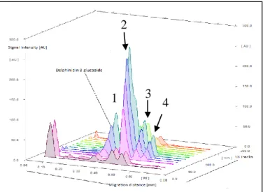 Gambar 2.3 Contoh kromatogram senyawa standar dan sampel antosianin pada  plat (20 cm x 10 cm) pada panjang gelombang 555 nm (Cretu et al., 2013) 