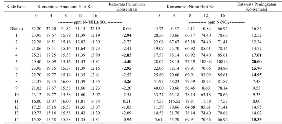 Tabel Lampiran 1. Konsentrasi Amonium dan Nitrat oleh Nitrosomonas dalam  250 ppm (NH 4 ) 2 SO 4