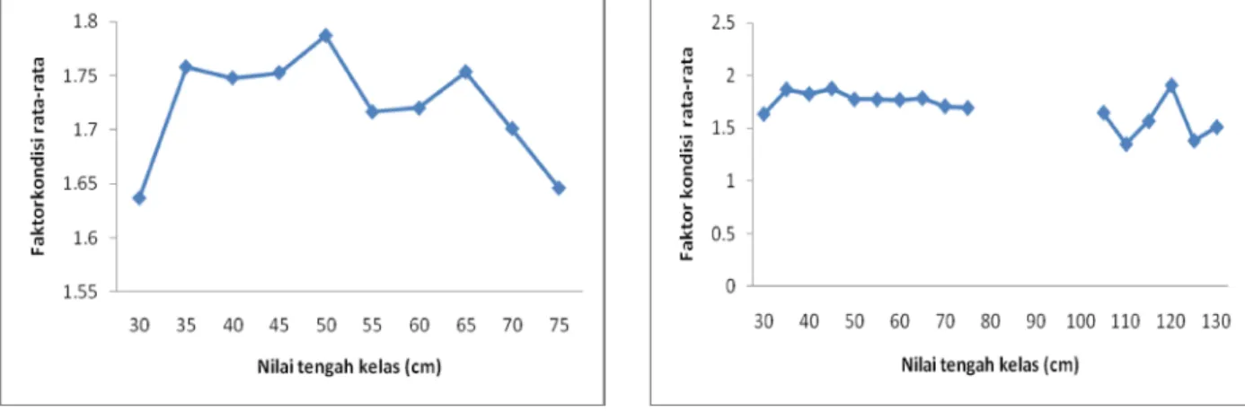 Figure 7. Condition factor and length frequency of yellowfin (Thunnus albacares) caught by handline at Sendang Biru, October 2010