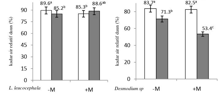 Gambar 4.2 Interaksi faktor penyiraman dan mikoriza terhadap kadar air relatif 