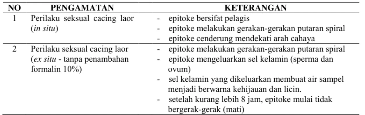 Tabel 2.  Data pengamatan aspek reproduksi cacing laor 