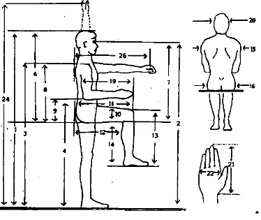 Gambar 1. Antropometri tubuh manusia yang diukur dimensinya