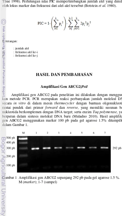 Gambar 1  Amplifikasi gen ABCG2 sepanjang 292 pb pada gel agarose 1.5 %.   